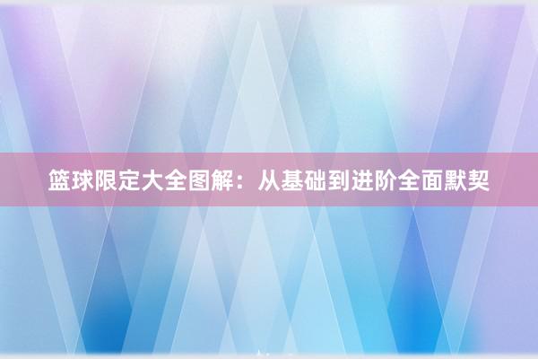 篮球限定大全图解：从基础到进阶全面默契